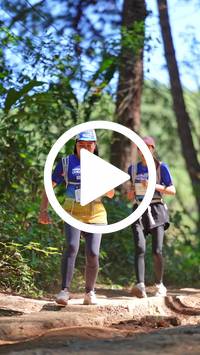 BIB:  <button type="button" onclick="openModal(26787577)" class="btn btn-primary btn-sm float-right" data-toggle="modal" data-target=".modal-high-quality">
                <i class="fa fa-download"></i> Download
                </button>